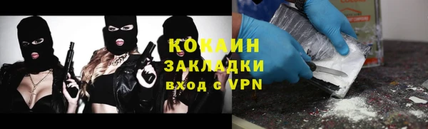 дживик Абаза